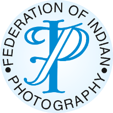 FIP Logo